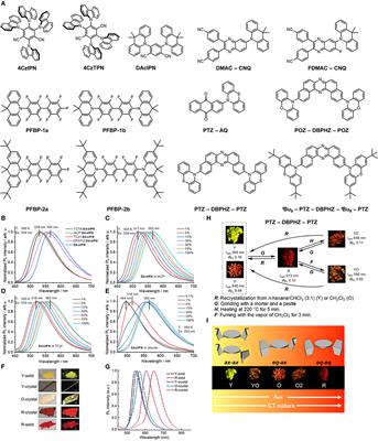 Thermally Activated Delayed Fluorescence: Beyond the Single Molecule